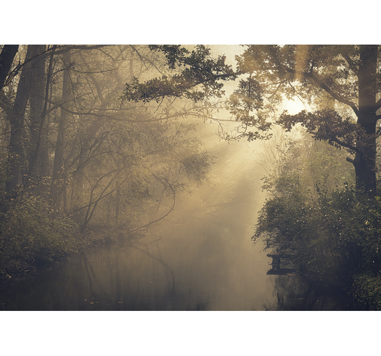 Mural de parede natureza paisagem florestal luminescente - TenStickers