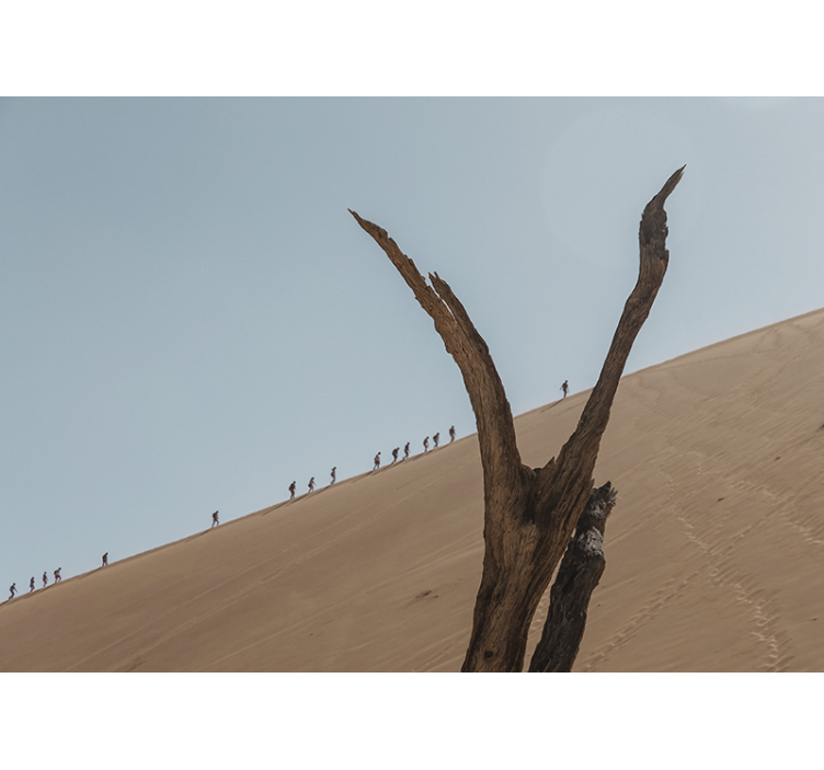 Mural de parede desertos silhueta de caminhantes de dunas - TenStickers