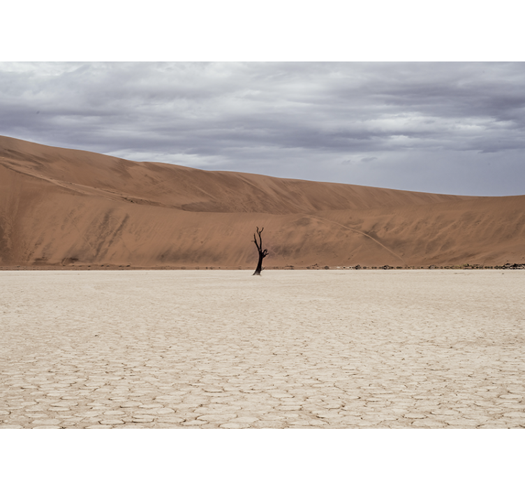 Mural de parede montanha paisagem do deserto - TenStickers