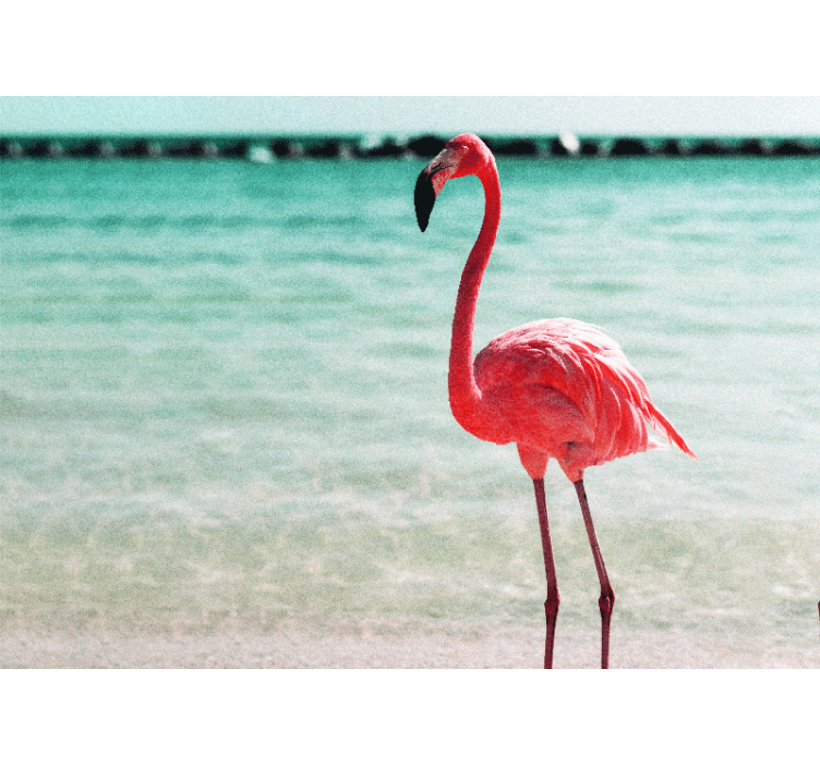 fotomural de parede de flamingos fofos na praia - TenStickers