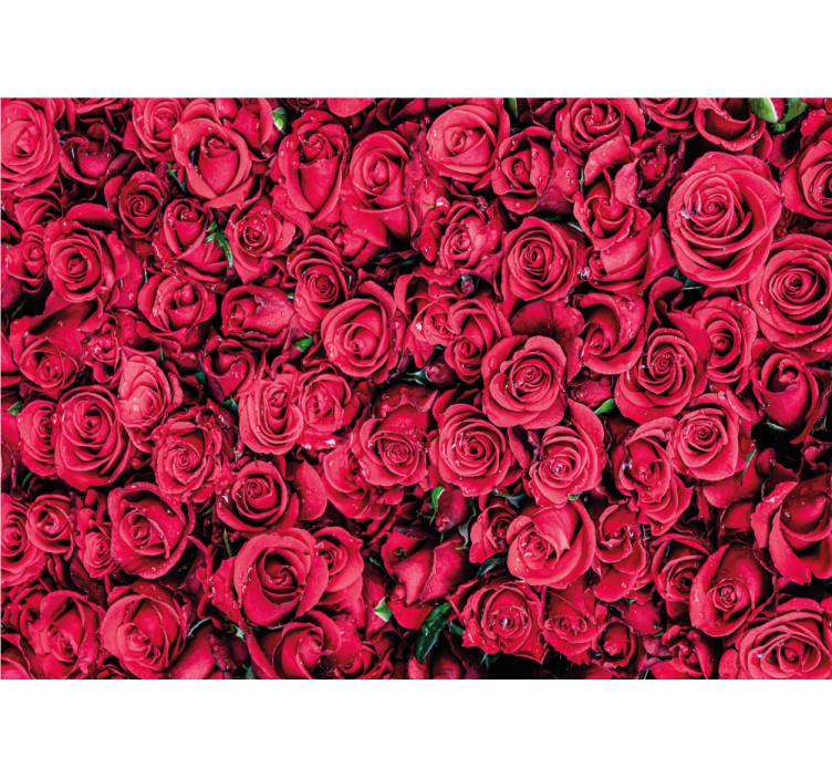 Mural de parede rosas flores vibrantes - TenStickers