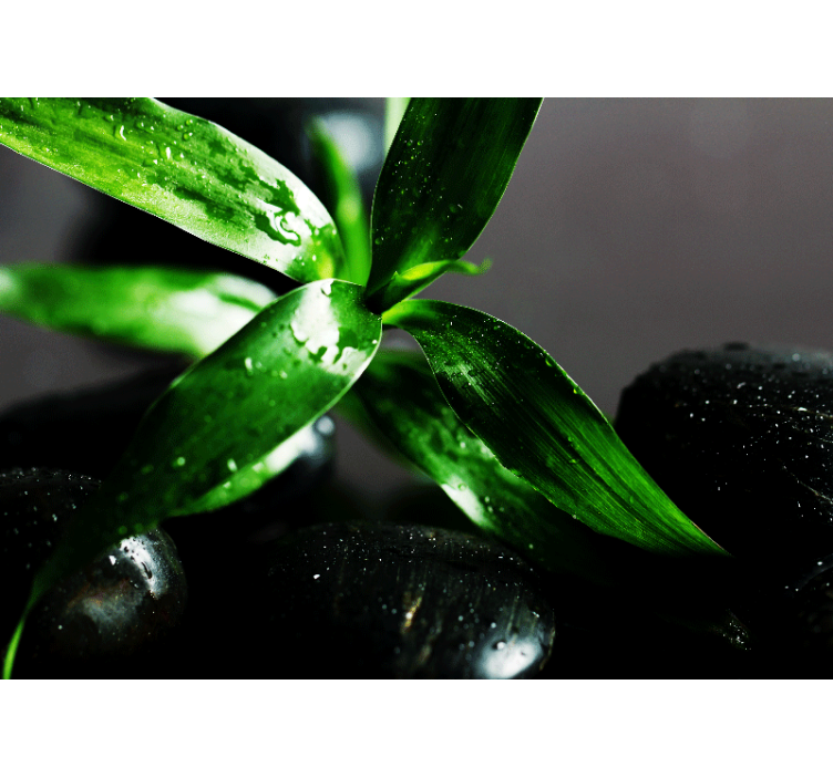 Mural de parede natureza textura de folhas frescas - TenStickers