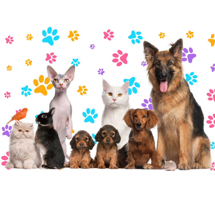 Mural de parede animais companheiros felizes de pets - TenStickers