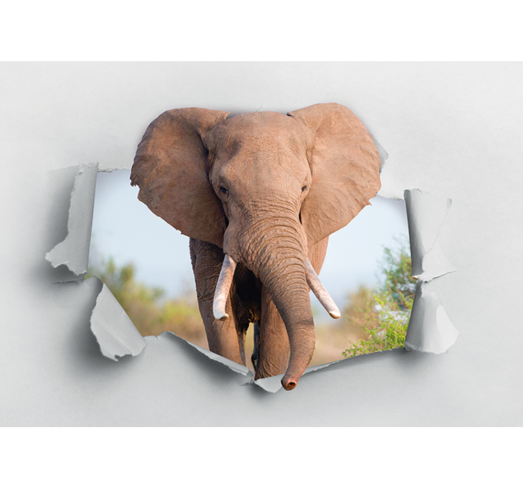 Murais de Parede 3D Elefante quebrando a parede - TenStickers
