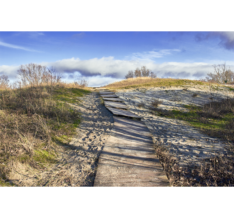 Fotomurais de paisagens caminho de madeira - TenStickers