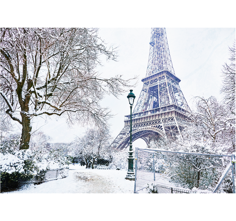 Fotomurais cidades e países Torre eiffel nevada no inverno - TenStickers