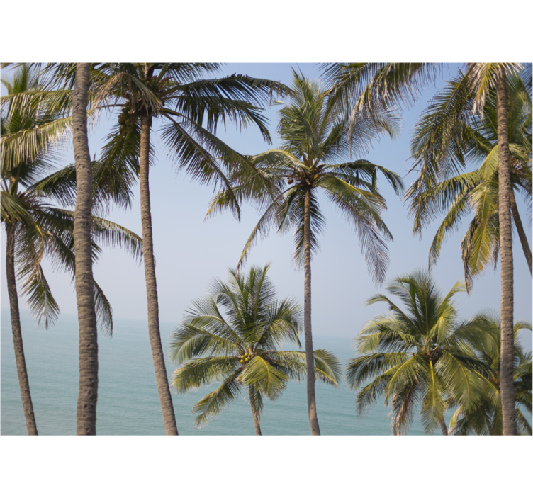 Fotomurais flores Vistas do caribe com folhas de maranta - TenStickers