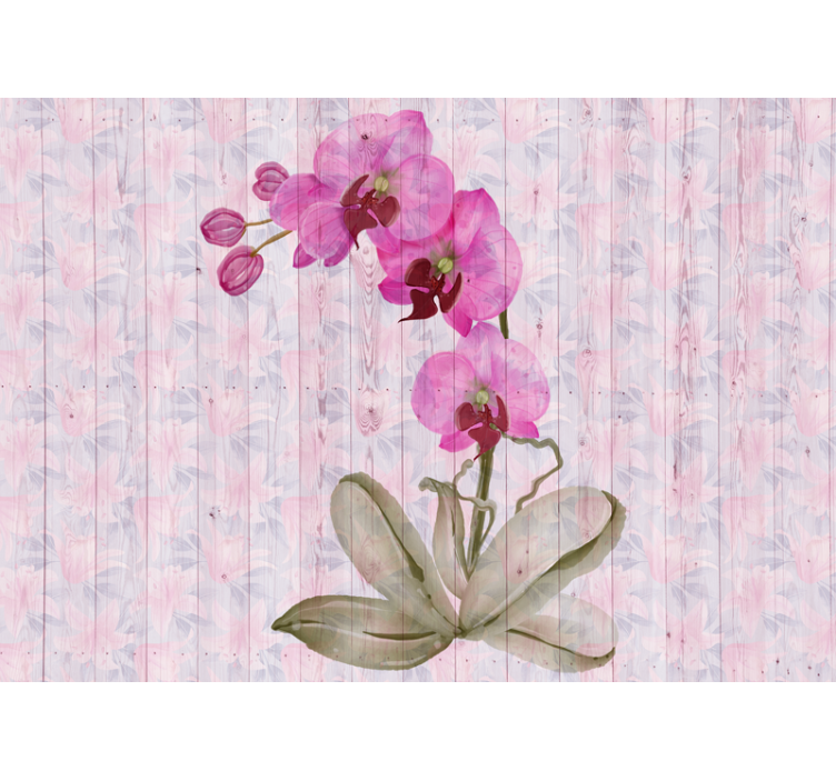 Fotomurais flores flores de orquídea rosa - TenStickers