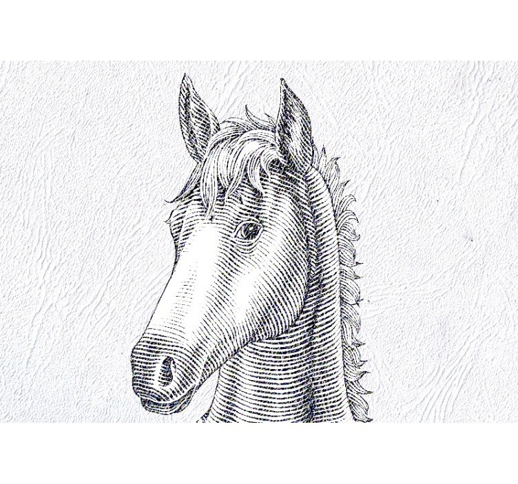 Mural de parede animais retrato elegante de cavalo - TenStickers