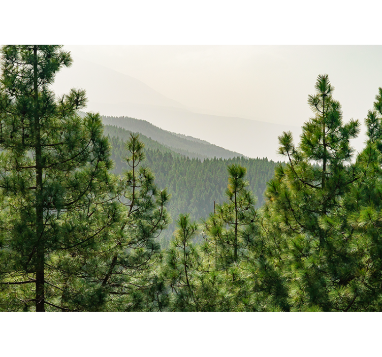 Mural de parede natureza paisagem verdejante - TenStickers