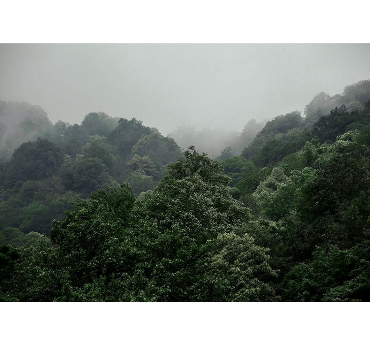 Mural de parede bosques paisagem enevoada - TenStickers