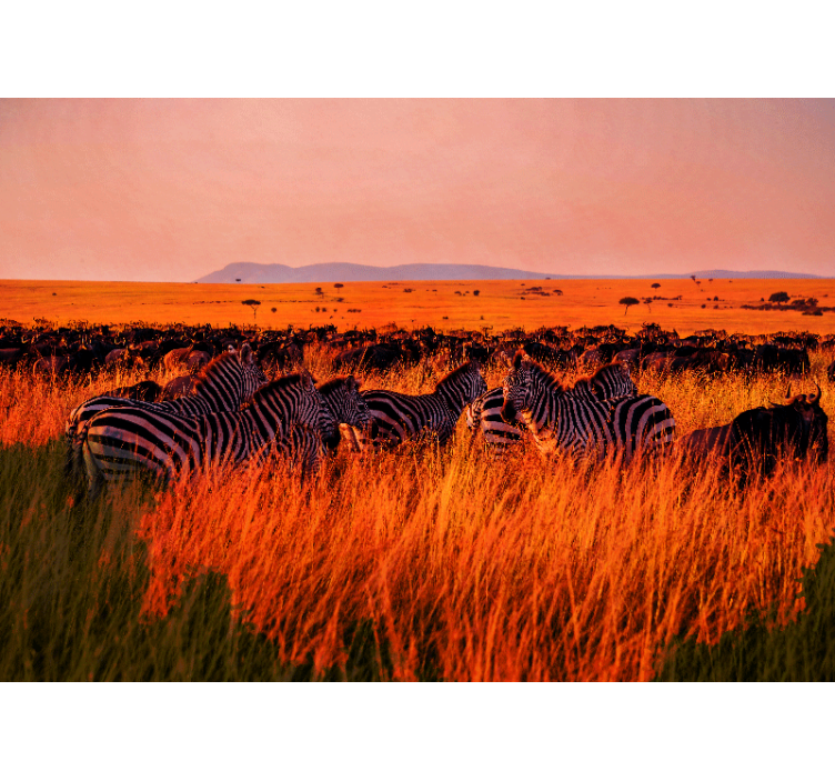 Mural de parede natureza zebras no serengeti - TenStickers