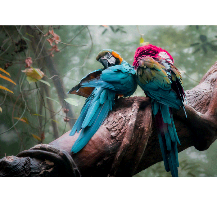 Fotomurais de paisagens Papagaios selvagens deslumbrantes - TenStickers