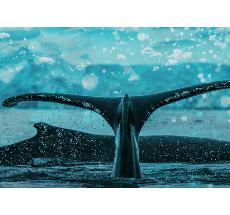 Mural de parede animais splash da cauda da baleia - TenStickers