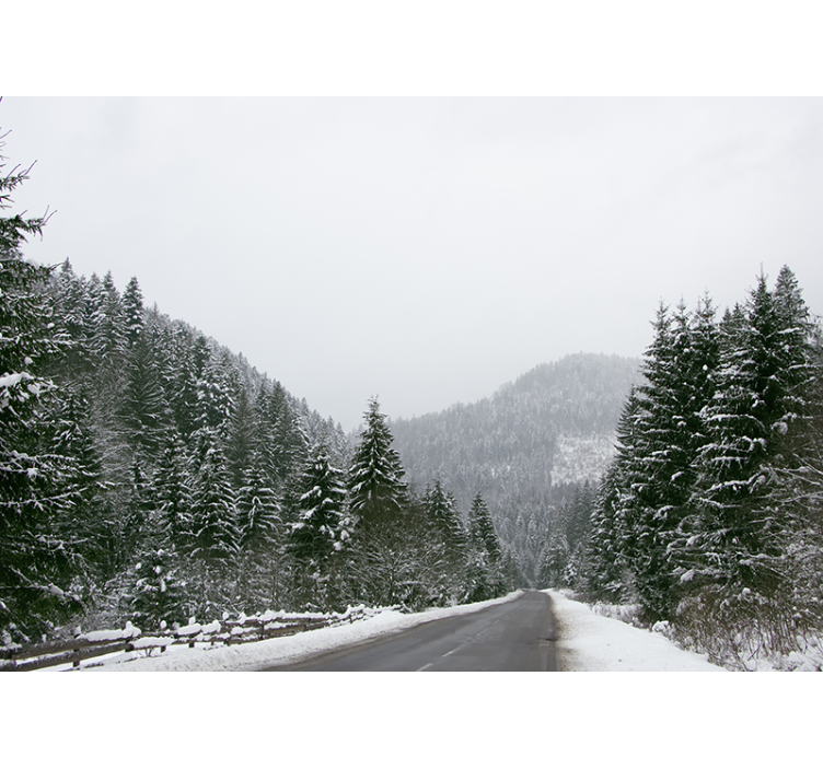 Mural de parede montanha paisagem de montanha gelada - TenStickers