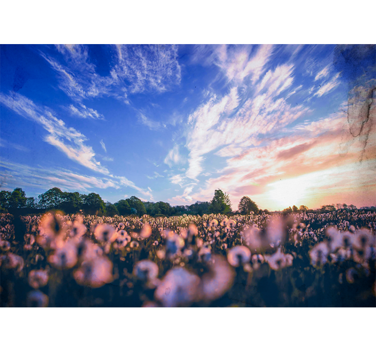 Fotomurais flores campo de dente-de-leão sereno - TenStickers