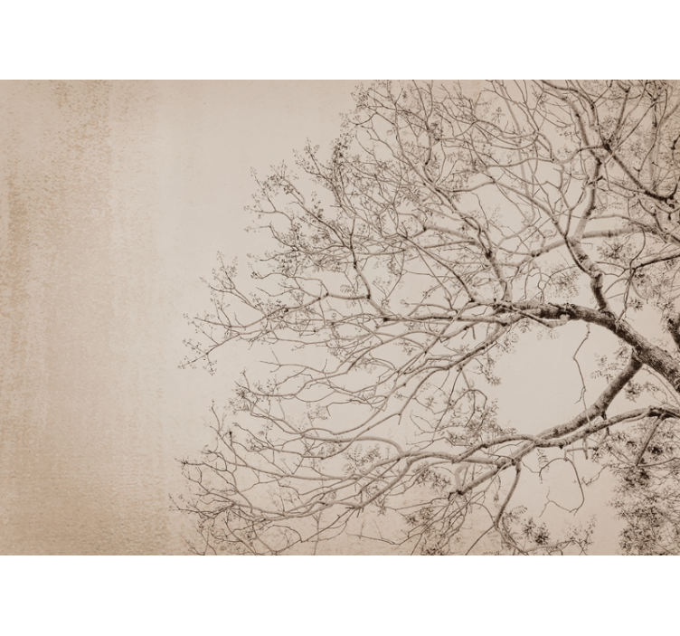 Mural de parede de árvores silhueta de ramos bonita - TenStickers