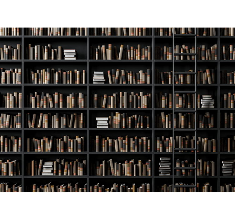 Mural de parede pedra com variedade de livros - TenStickers