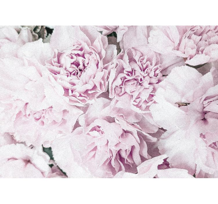 Fotomurais flores botões rosa claro - TenStickers