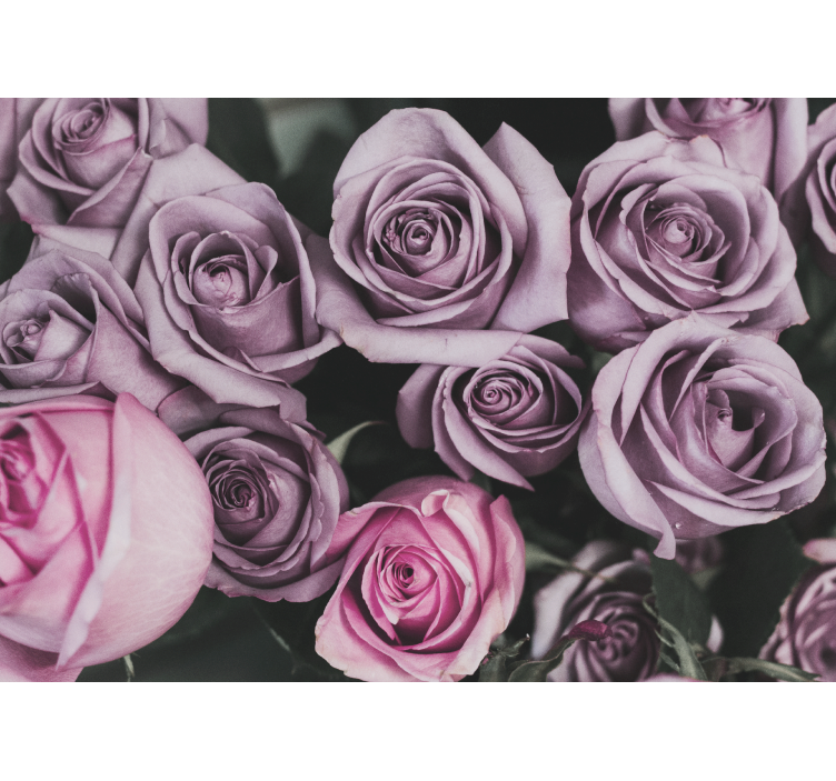 Fotomurais flores buquê de rosas lavanda - TenStickers