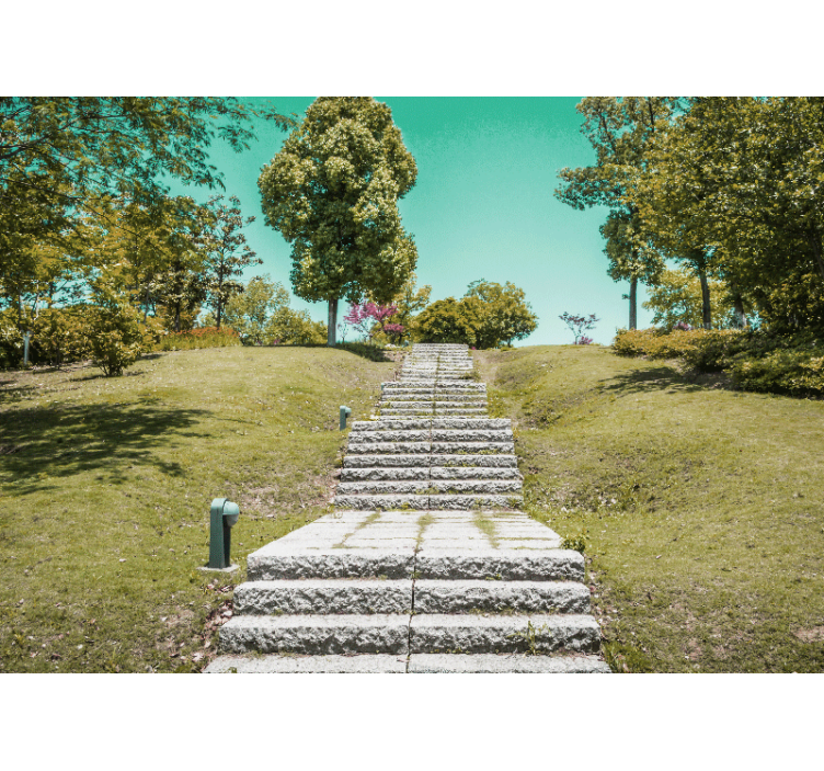 Mural de parede natureza escada pela natureza - TenStickers