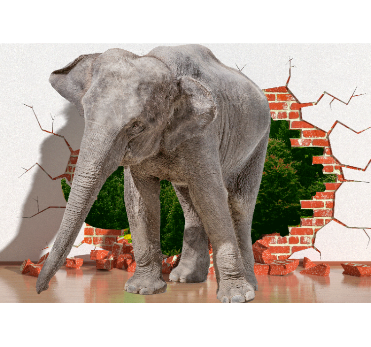 Murais de parede 3d elefante quebrando parede - TenStickers