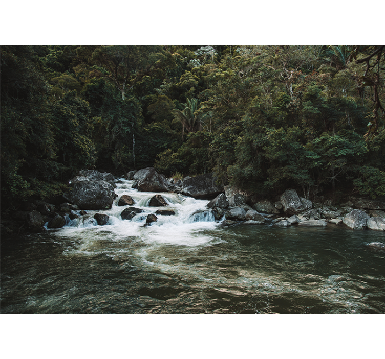 Mural de parede natureza cena serena do rio - TenStickers
