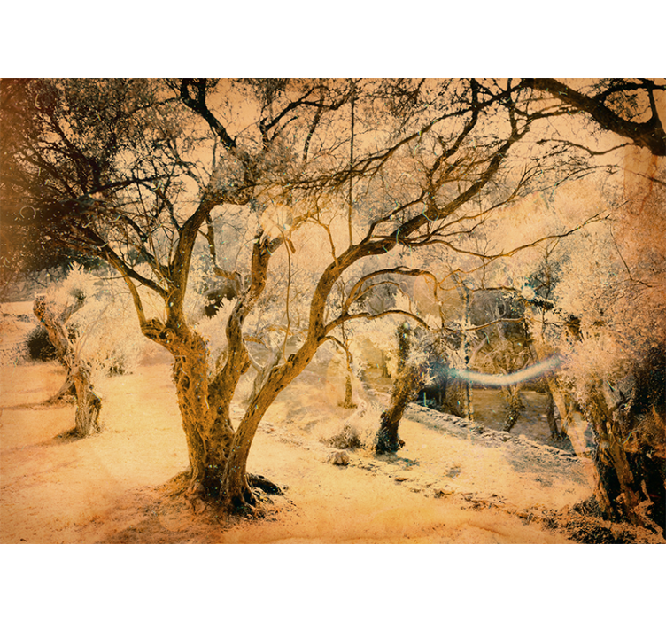 Mural de parede bosques de oliveiras douradas - TenStickers