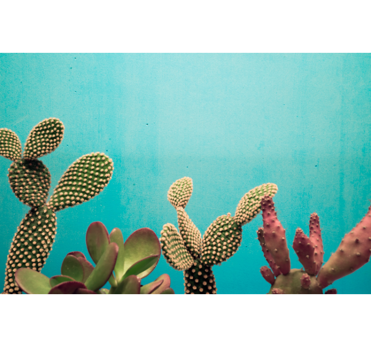 Fotomural cactus com fundo azul - TenStickers