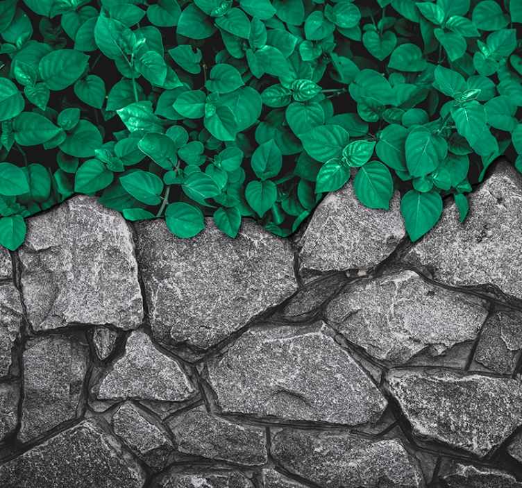 Mural de parede para a sala folhas e pedras - TenStickers