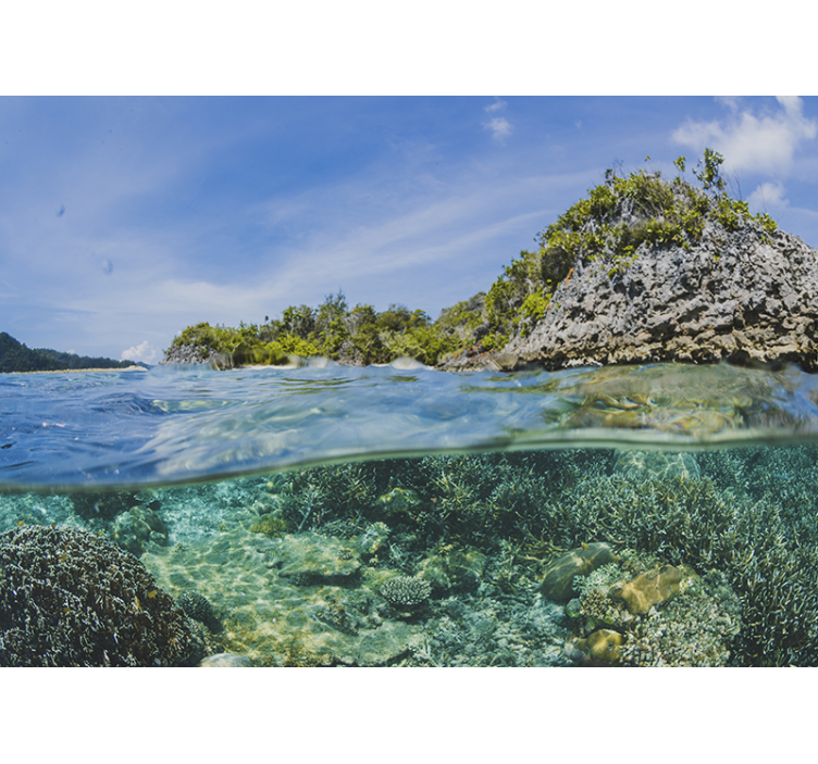 Fotomural de natureza perfil subaquático - TenStickers