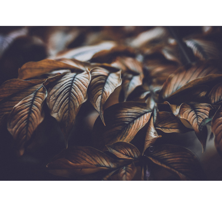 Fotomural decorativo de natureza Folhas douradas - TenStickers