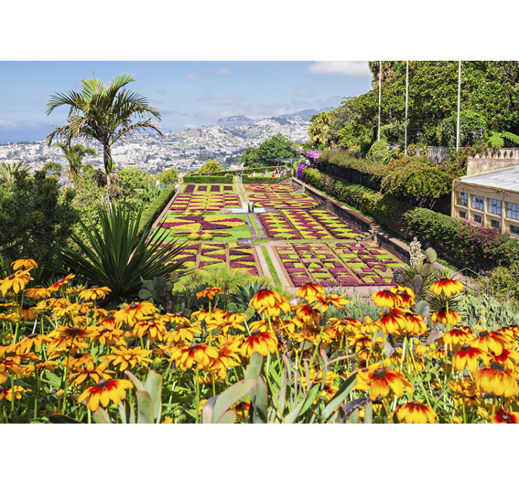 Fotomural de lugares Jardim Botânico Madeira - TenStickers