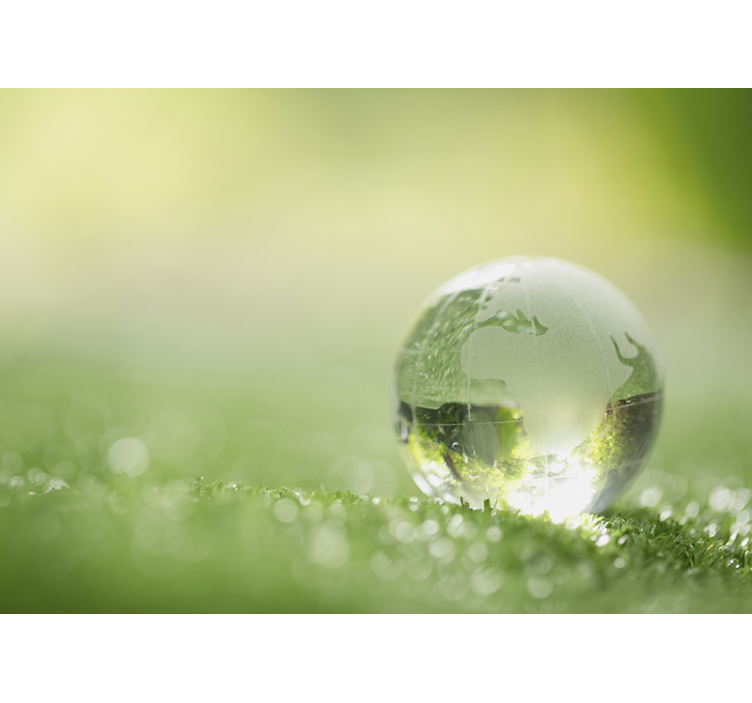 Mural de parede natureza globo na grama - TenStickers