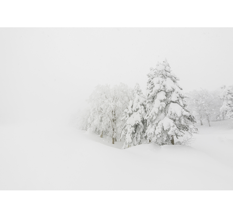 Fotomural para quarto de Tempestade de Inverno - TenStickers
