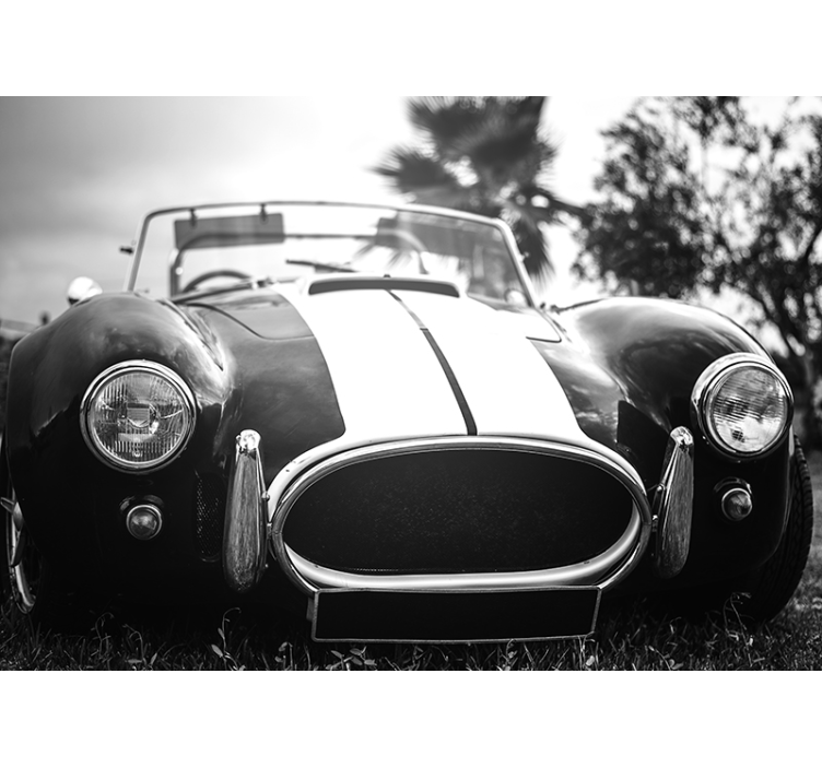 Mural de parede vintage do carro de corrida - TenStickers