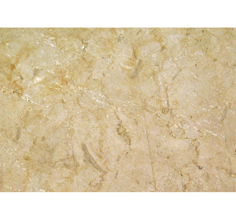 Fotomurais texturas e padrões Pedra marrom - TenStickers