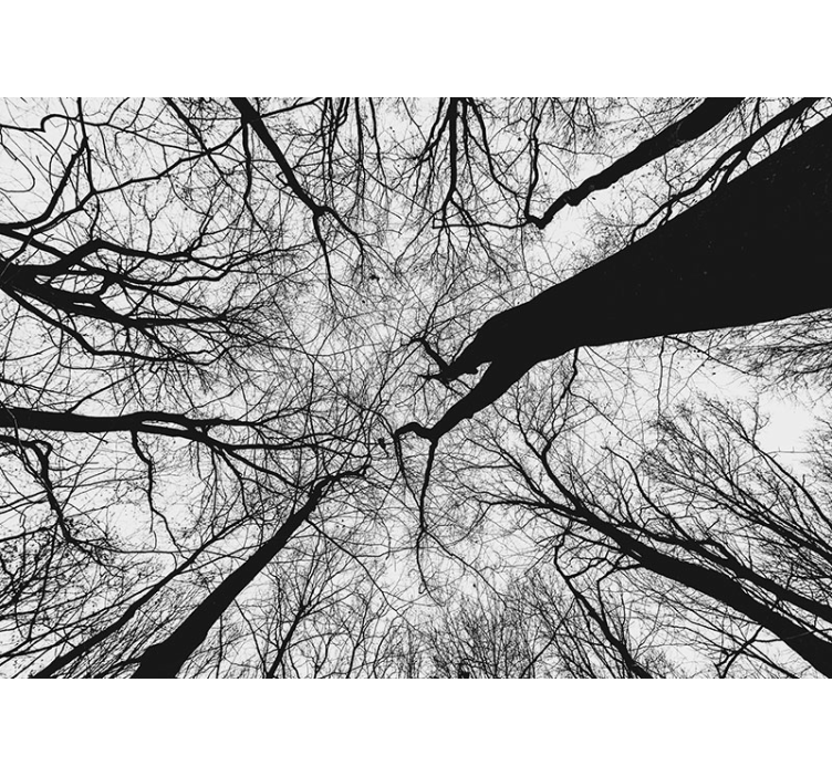 Mural de parede de árvores com silhuetas entrelaçadas - TenStickers