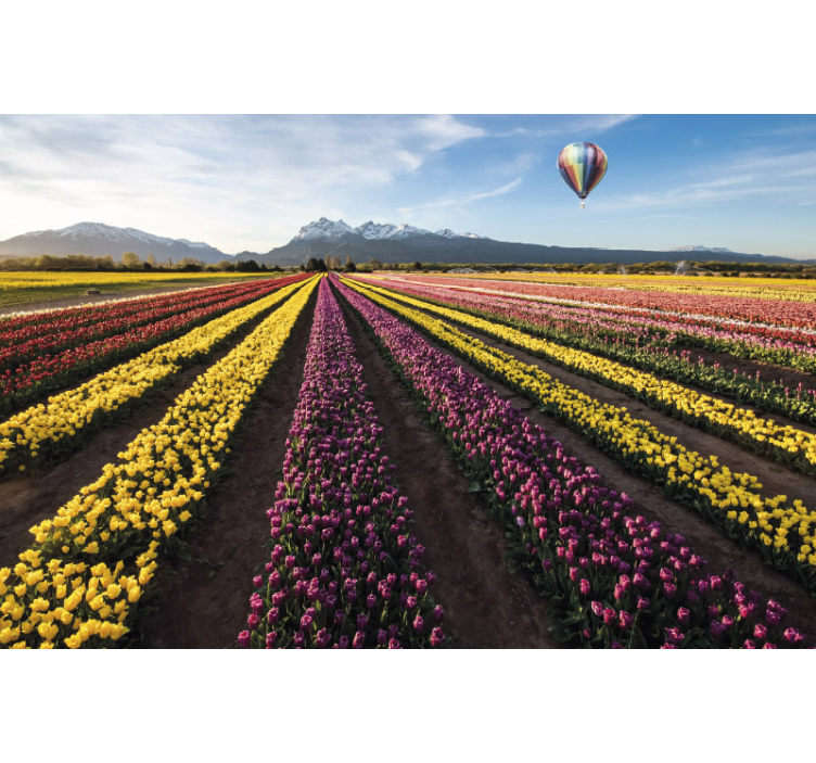 Fotomurais flores campos de tulipas coloridas - TenStickers