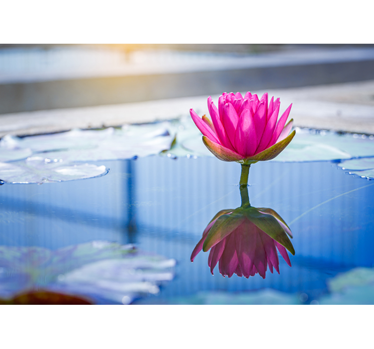 Mural de parede zen flor de lótus tranquilidade - TenStickers