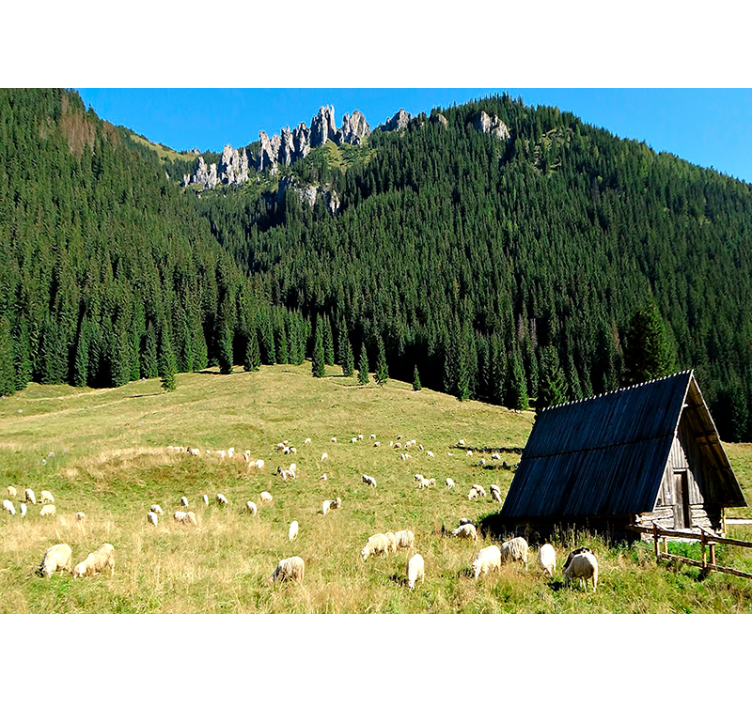 Fotomurais de paisagens cena de vegetação montanhosa - TenStickers