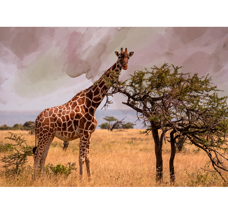 Mural de parede animais girafa na natureza - TenStickers