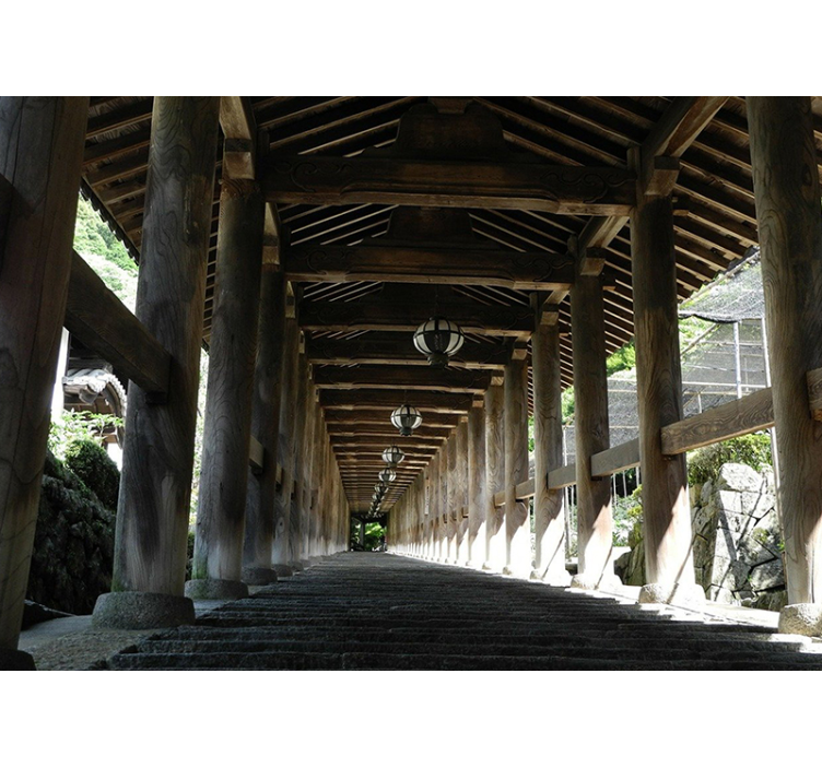 Mural de parede bosques vista de caminho de madeira - TenStickers