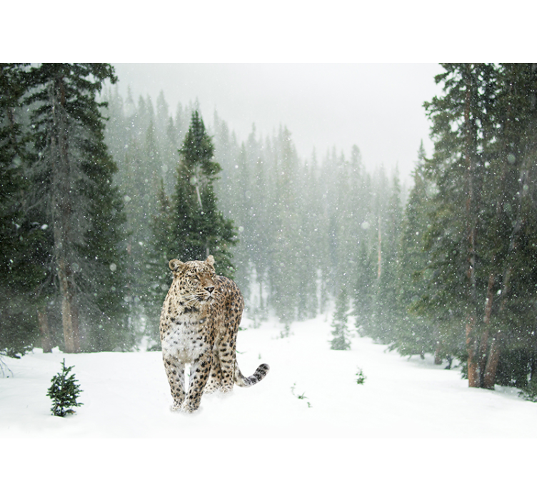 Murais de Parede 3D Leopardo 3d - TenStickers