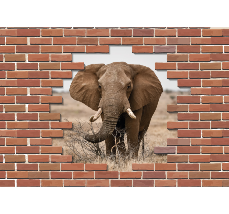 Mural de parede animais foco majestoso do elefante - TenStickers