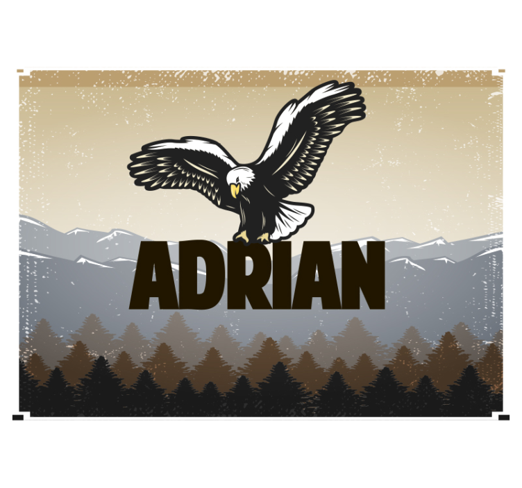 Mural de parede animais águia em voo - TenStickers