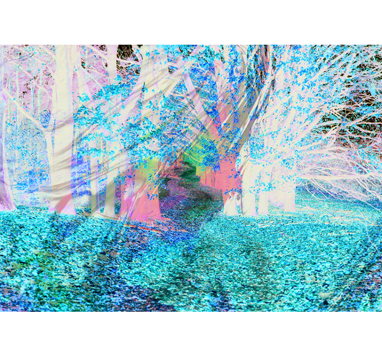 Mural de parede bosques caminho de outono - TenStickers