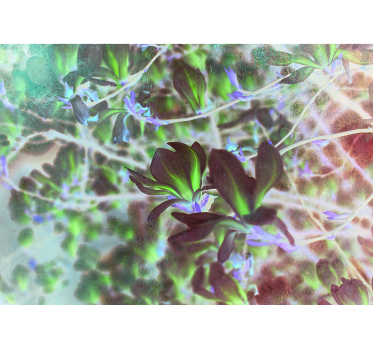 Mural de parede orquídeas explosão de flor de magnólia - TenStickers