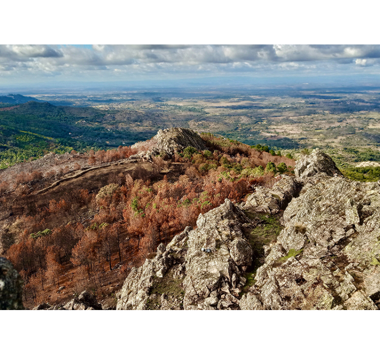 Fotomurais de paisagens Serra de são mamede - TenStickers