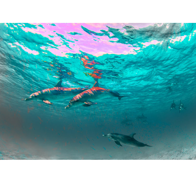 Mural de parede animais golfinhos nadando brincando - TenStickers